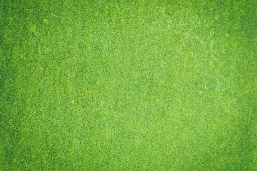 Photo Nouns: immigration lawyer, green card Image: Lawyers office