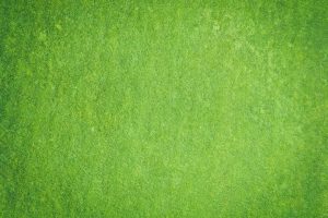 Photo Nouns: immigration lawyer, green card Image: Lawyers office