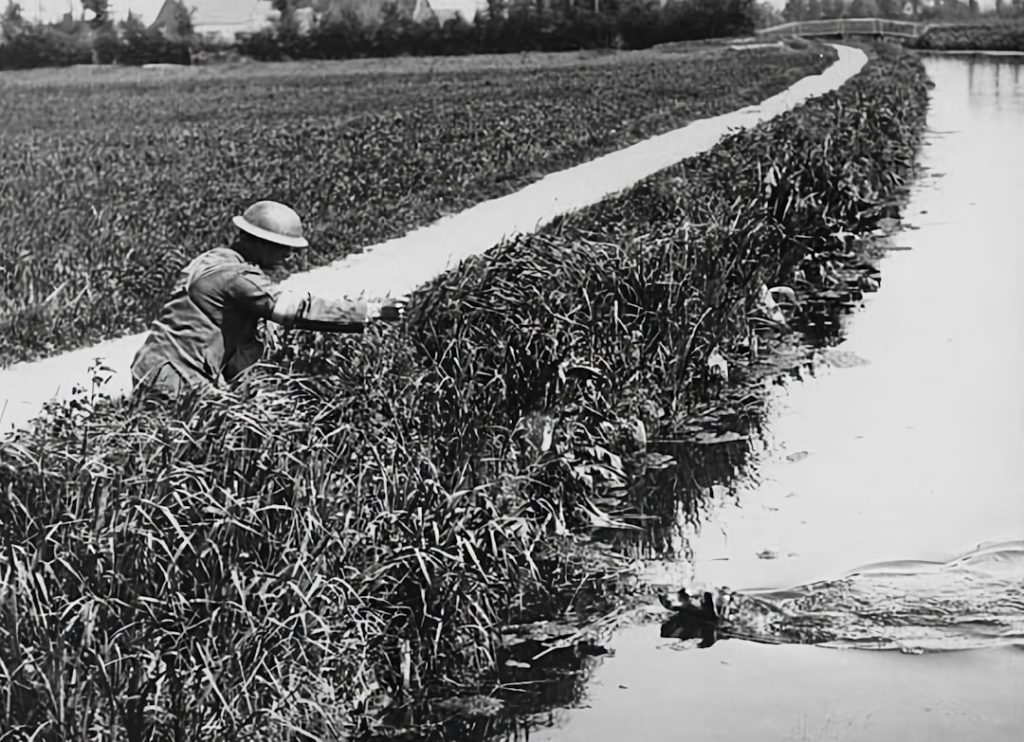 Photo Soldier, Judge