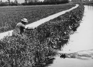 Photo Soldier, Judge