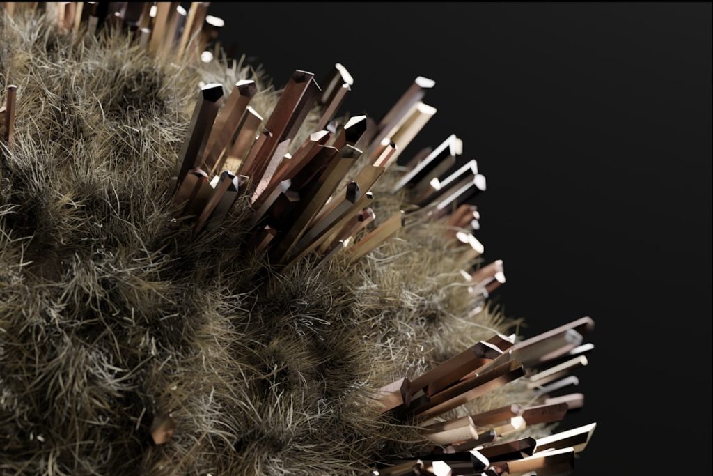 Photo Image: Globe, Nature