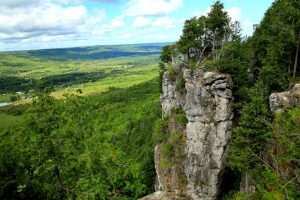 Photo Nature conservation