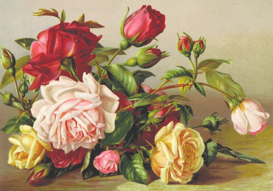 image 271